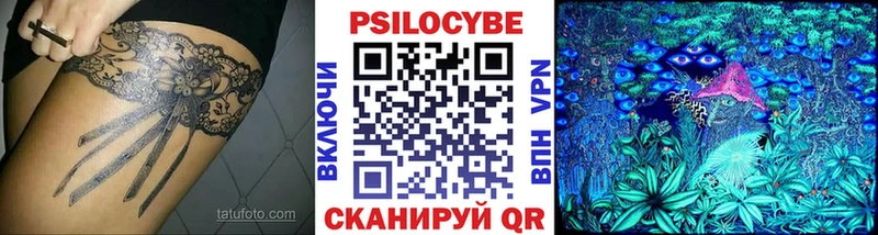 Купить где  Томари  Псилоцибиновые грибы Psilocybe 